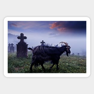 Cemetery Goat Sticker